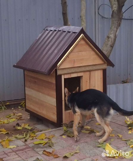 Будка для собаки утепленная