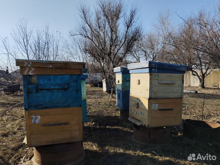 Ульи 12 рамочные