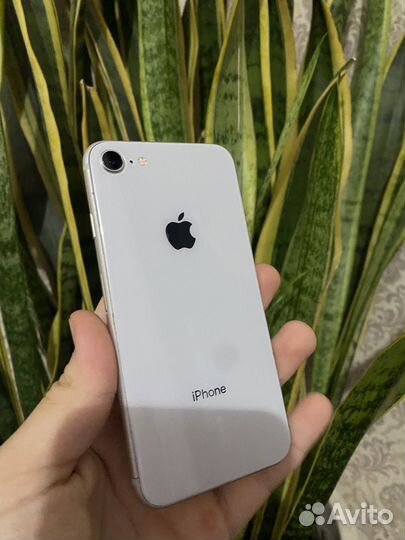 iPhone 8, 64 ГБ