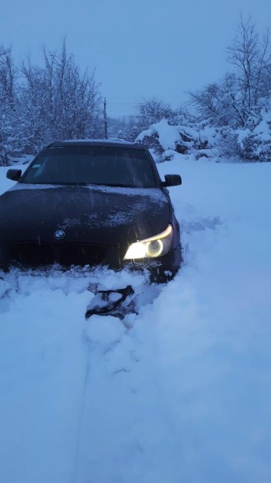 BMW 5 серия: фото владельца