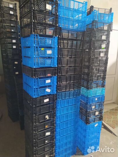 Ящик пластиковый