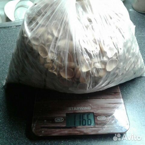 Скарлупки фисташки 1166 гр