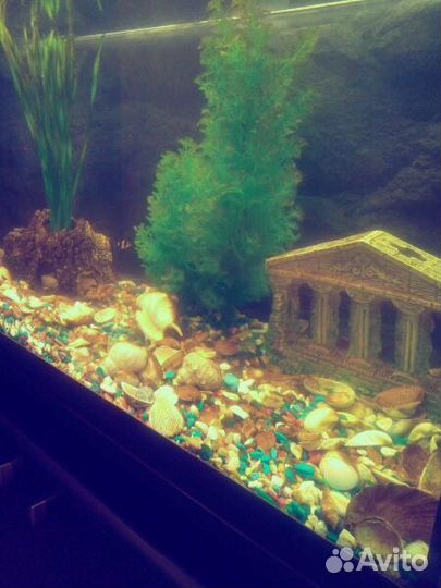 Аквариум