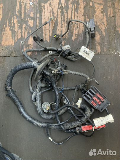 Коса двс Форд Транзит Коннект bhpa 75л.с