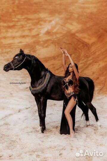 Костюм для восточных танцев