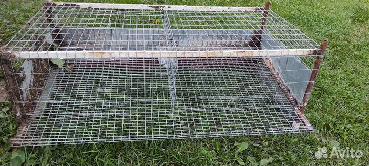 Клетки для перепелов бу