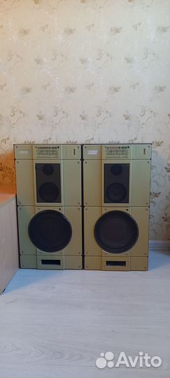 Колонки радиотехника s90