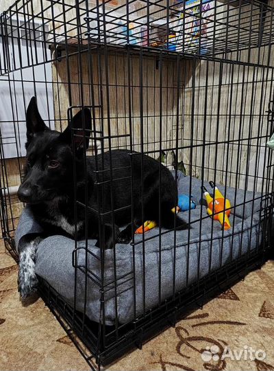 Клетка для крупных собак, №5 100х70х76см