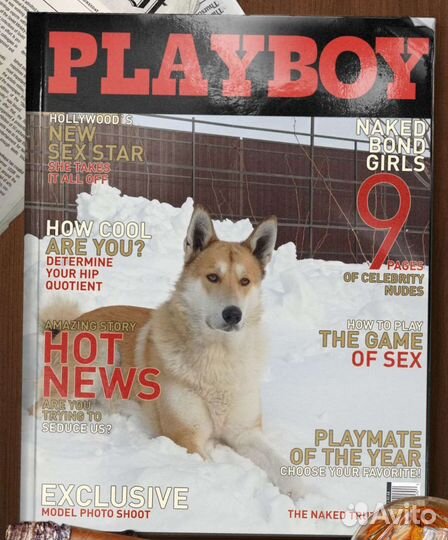 Вязка зсл мальчик