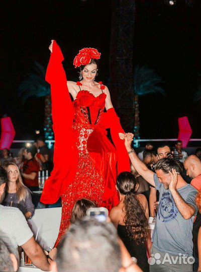 Ходулисты, встреча гостей, артисты, шоу