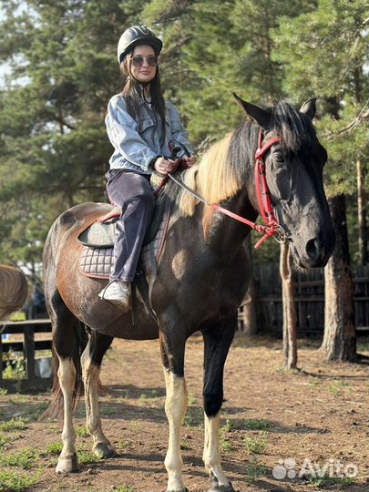 Аренда беседки