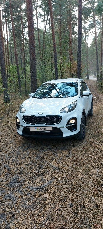 Kia Sportage: фото владельца