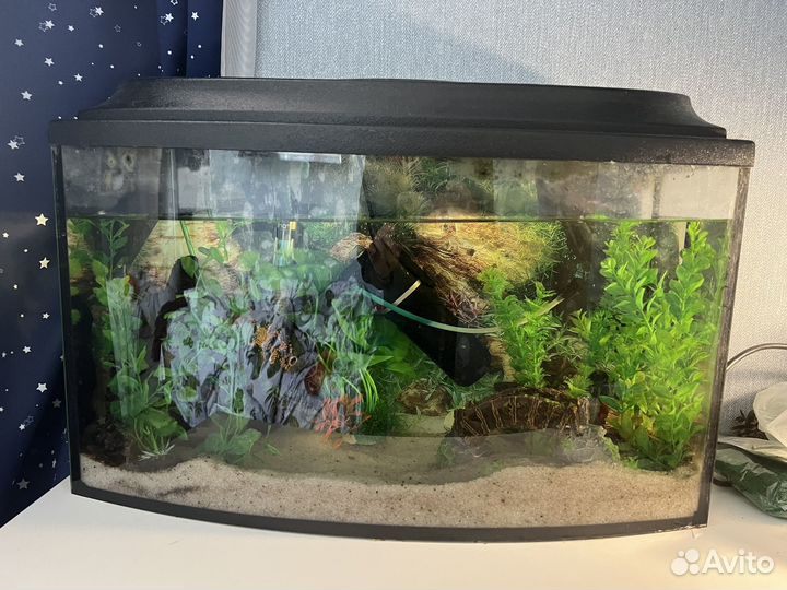 Аквариум 60 л