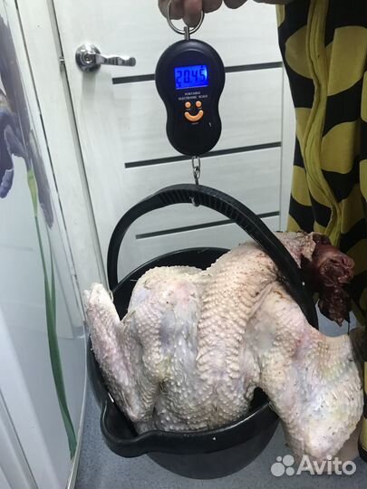 Тушка индейки