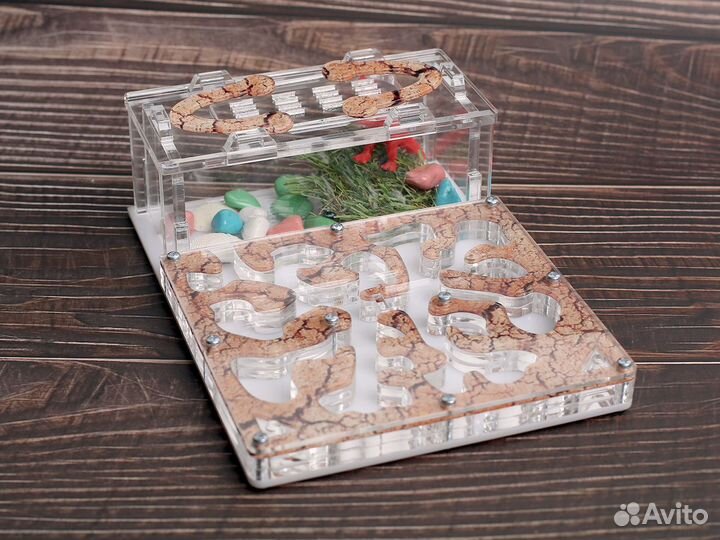 Муравьиная ферма с муравьями в Балашиха