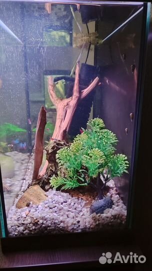Аквариум 70л