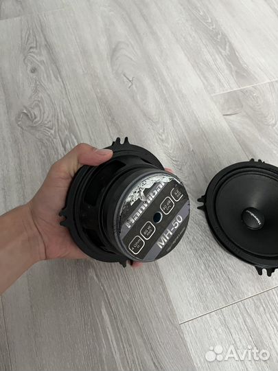 Пара колонок hannibal эстрадные