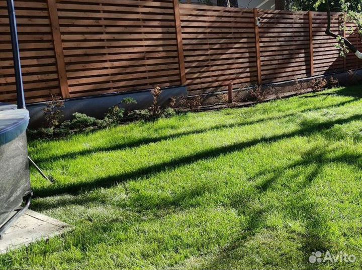 Газон под ключ