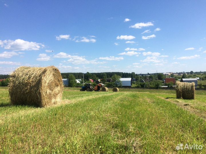 Сено в рулонах 2023 года