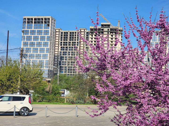 1-к. квартира, 43,2 м², 12/24 эт.