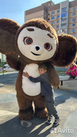 Аренда Костюма Чебурашка