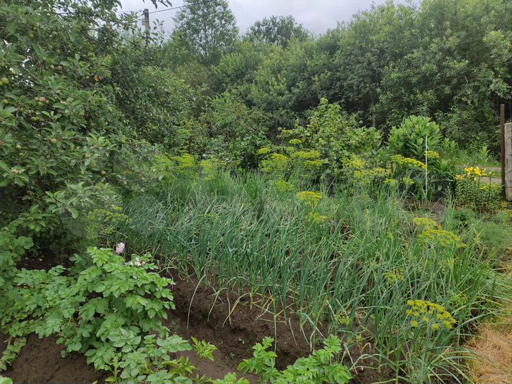 Дача 20 м² на участке 8 сот.