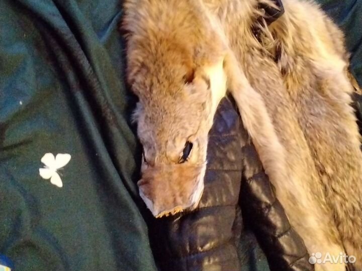 Куртка мужская натуральная кожа и мех волков