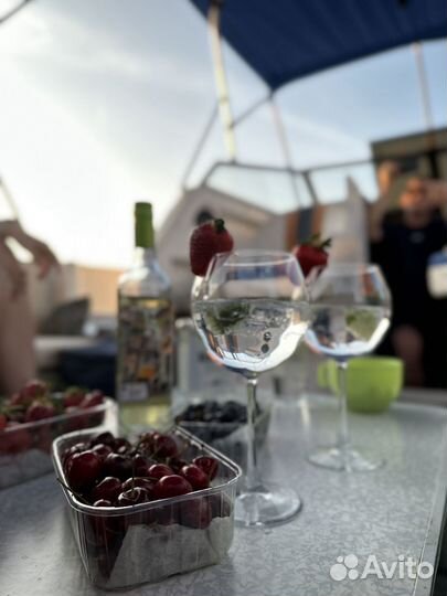 Аренда катера Bayliner Trophy