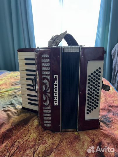 Аккордеон Юность 3