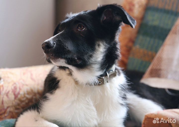 Гром ищет дом