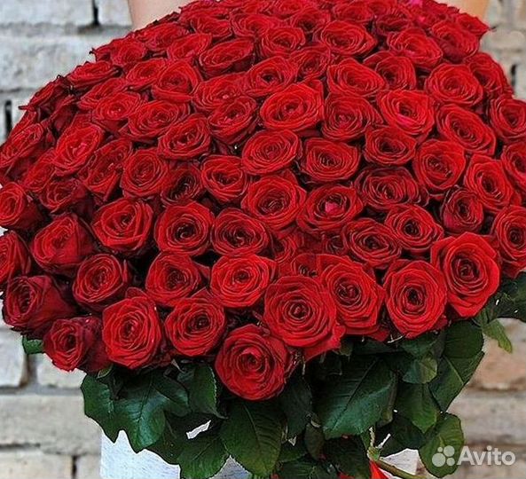Высокие розы Гигантские розы с доставкой