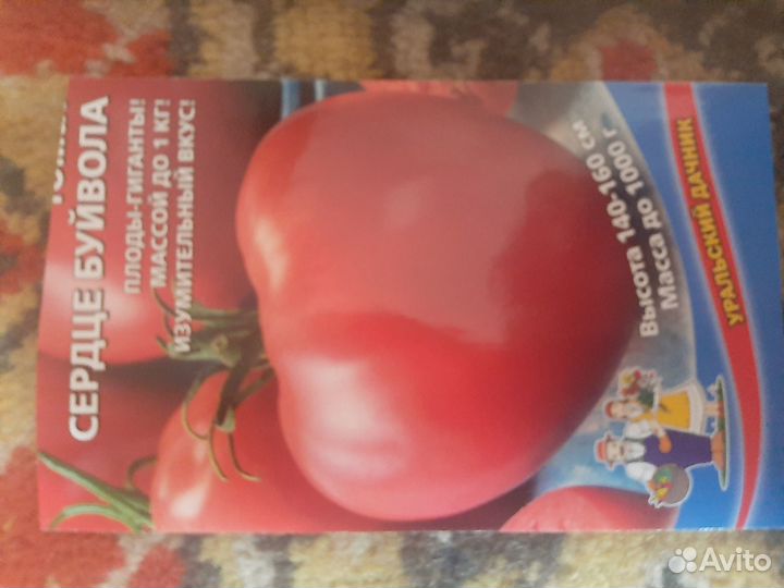 Рассада помидоров