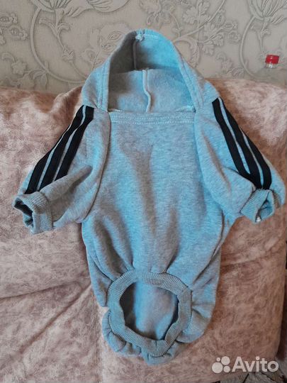 Продаю джемперок для собачки,новый пару раз одели