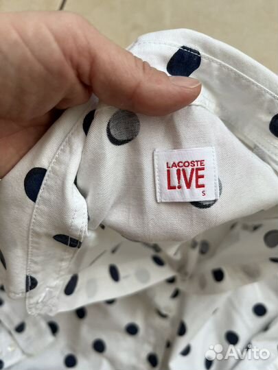 Lacoste, mark spenser