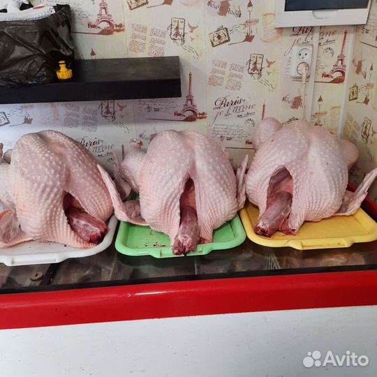 Мясо индейки