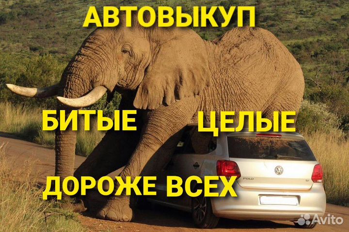 Автовыкуп выкуп авто Битые Целые Нерабочие Срочный