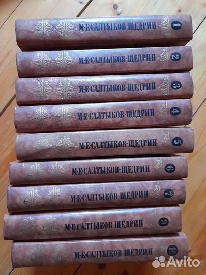 Салтыков - Щедрин, Лесков