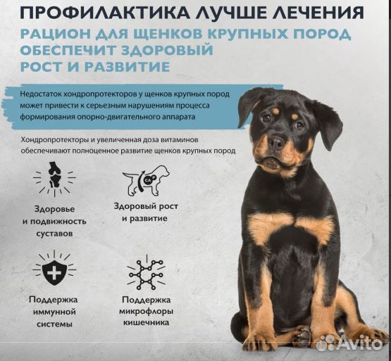 Brit Care Super 3 кг Dog Puppy&Junior L индейка