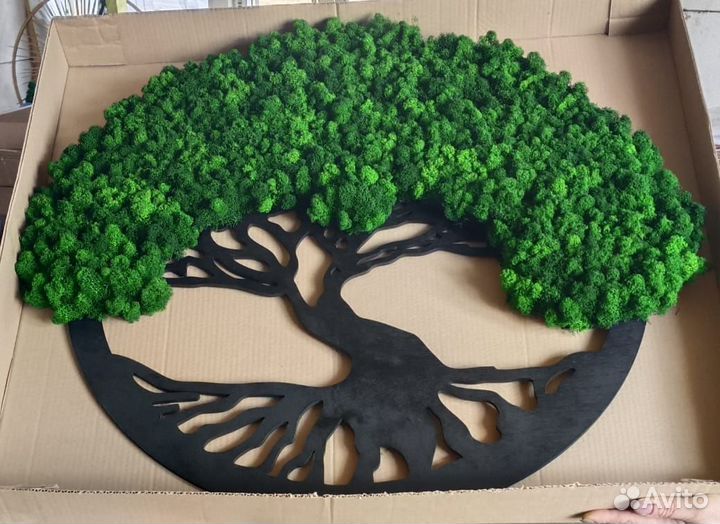 Мох стабилизированный оптом и в розницу