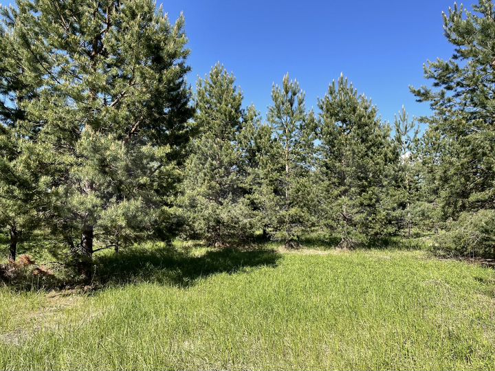 Участок 9,8 га (СНТ, ДНП)