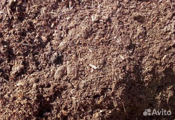 Перегной конский и коровяк