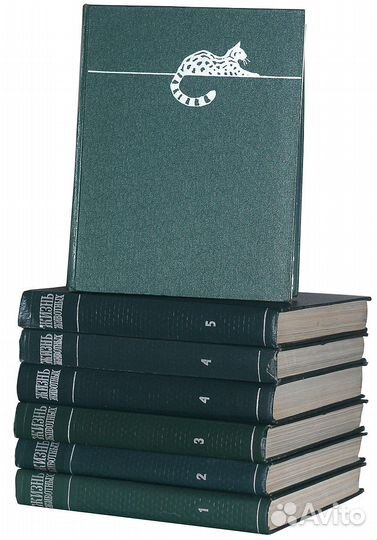 Энциклопедия 