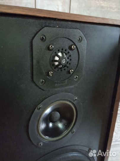 Magnat Monitor D нч динамик 250 мм