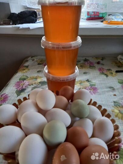 Домашние куриные яйца