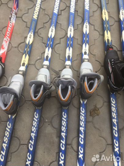 Шесть комплектов импортных лыж для семьи в сборе