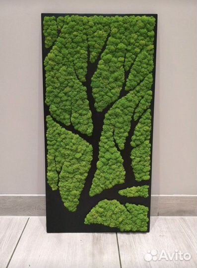 Картины из мха \ панно из мха \ фитопанели
