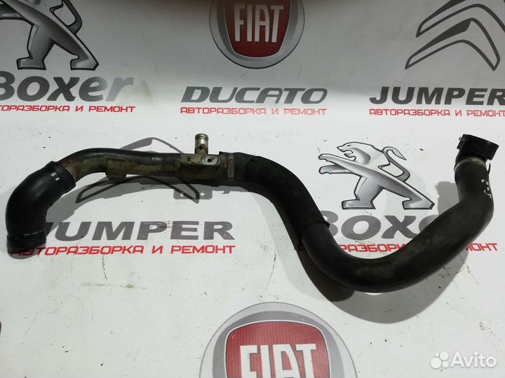 Патрубок радиатора нижний Fiat Ducato(250) 2.3JTD