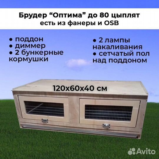 Брудер для цыплят