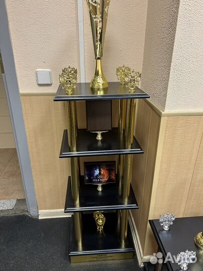 Кубки наградные