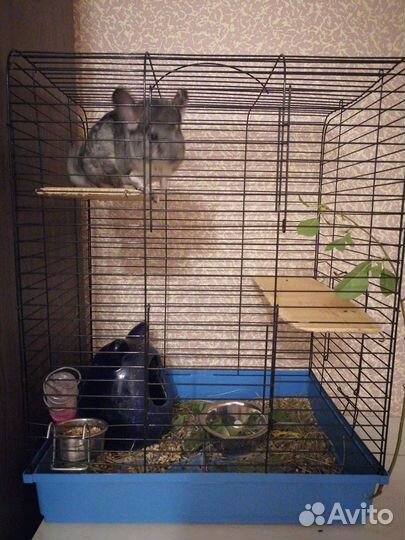 Клетка для шиншиллы большая